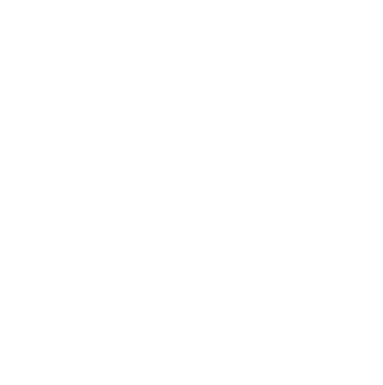 impetus logo white